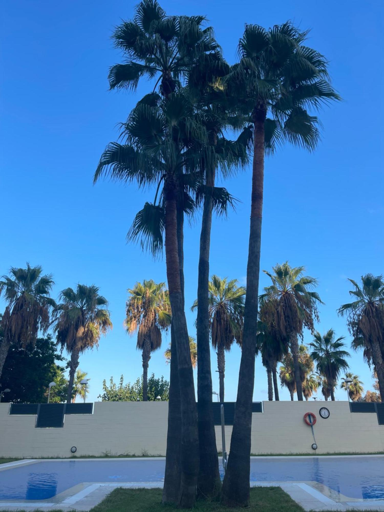 Las Terrazas - Primera Linea De Playa Con Netflix, Disney, Movistar Con Todo El Futbol, Series, Cine Y Prime Video Oropesa del Mar Exterior photo