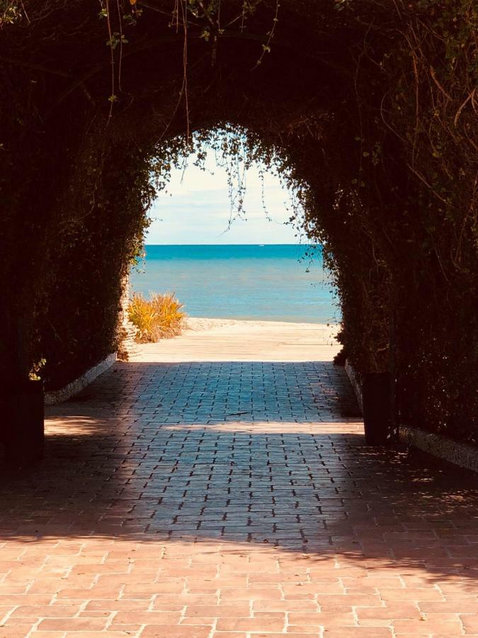 Las Terrazas - Primera Linea De Playa Con Netflix, Disney, Movistar Con Todo El Futbol, Series, Cine Y Prime Video Oropesa del Mar Exterior photo